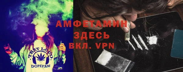 трава Аркадак