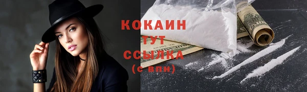 трава Аркадак