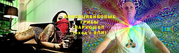 гидропоника Армянск