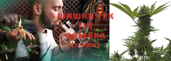 трава Аркадак
