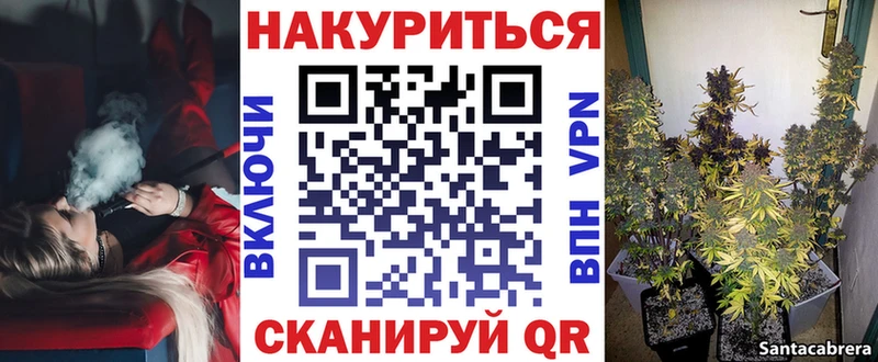 цена Красный Кут Шишки марихуана ГИДРОПОН